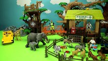 Jungle Wild Animal Care Playset For Kids Learn Animals Names Toys Video