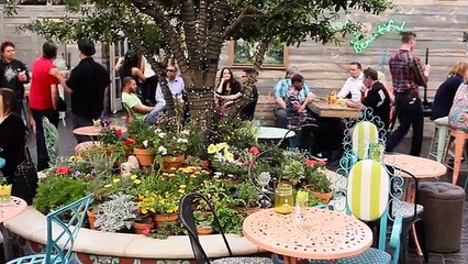 Absinthe   Park on Fremont_sd_STREAM