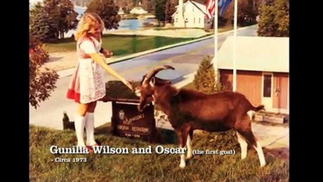 Al Johnson’s Swedish Restaurant - Door County WI Travel Show_sd_DOWNLOAD