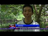 Wisata Edukasi Budidaya Lebah Madu di Malang, Jawa Timur - NET 12
