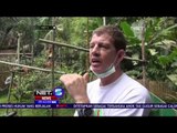 4 Orangutan di Deliserdang, Sumatera Utara akan Dilepasliarkan - NET 5