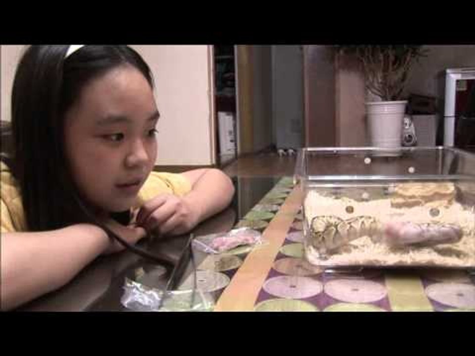 동물일기 - Animal diary_31화_소중한 내 친구 동물일기_민희네_#004