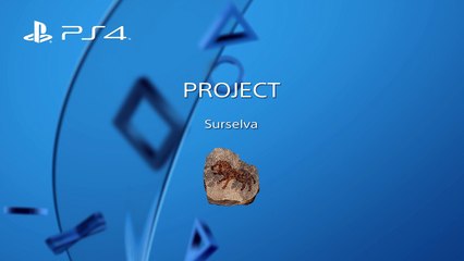 SHAREfactory™_201706241529*