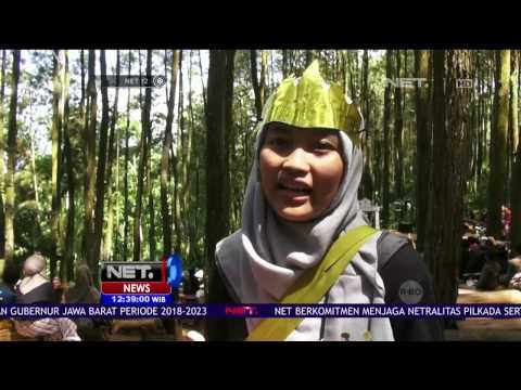 Pagelaran Dongeng Hutan Pinus di Yogyakarta - NET 12