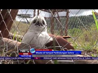 Mengelilingi Sabana Sambil Melihat Satwa Dilindungi - NET 12