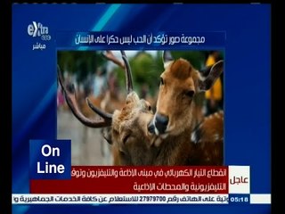 #أون_لاين | بالصور .. الحب ليس حكرا على الإنسان