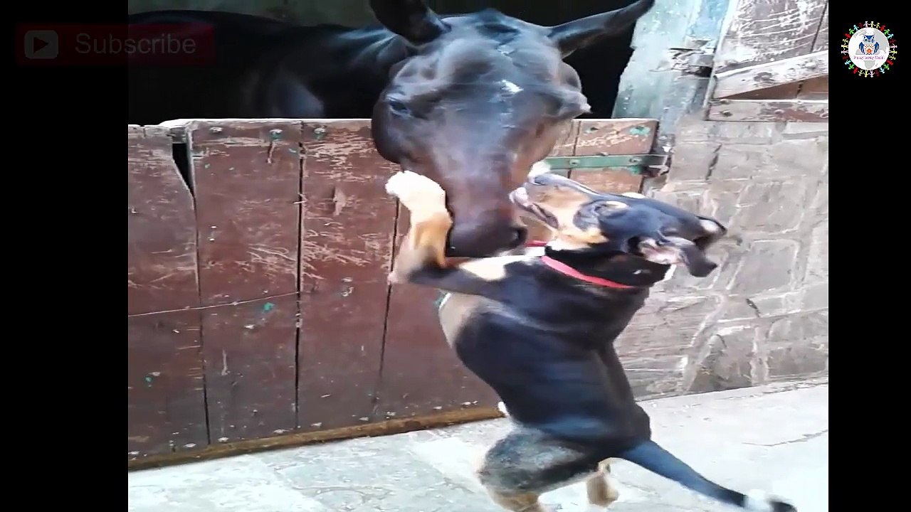 Cute Friends ♥ video... - Simply Beautiful.