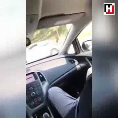 Cansu Canan'a Arabada Fırça Çeken İlber Ortaylı