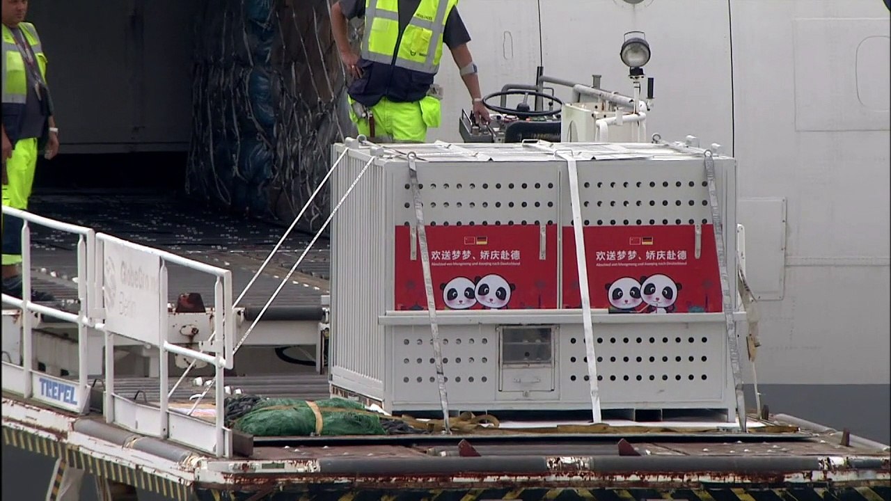 Les deux pandas "ambassadeurs" de Chine sont arrivés à Berlin