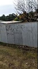 He s jumping on a trampoline to see over the fence 