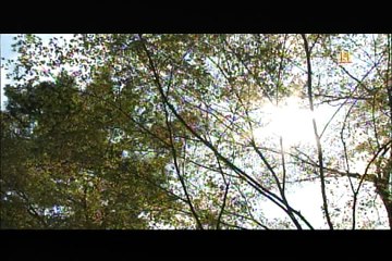 ライバルたちの光芒・大塩平八郎VS水野忠邦.