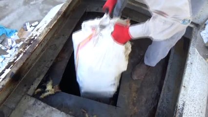 Diyarbakır'da 200 Bin Paket Kaçak Sigara Ele Geçirildi