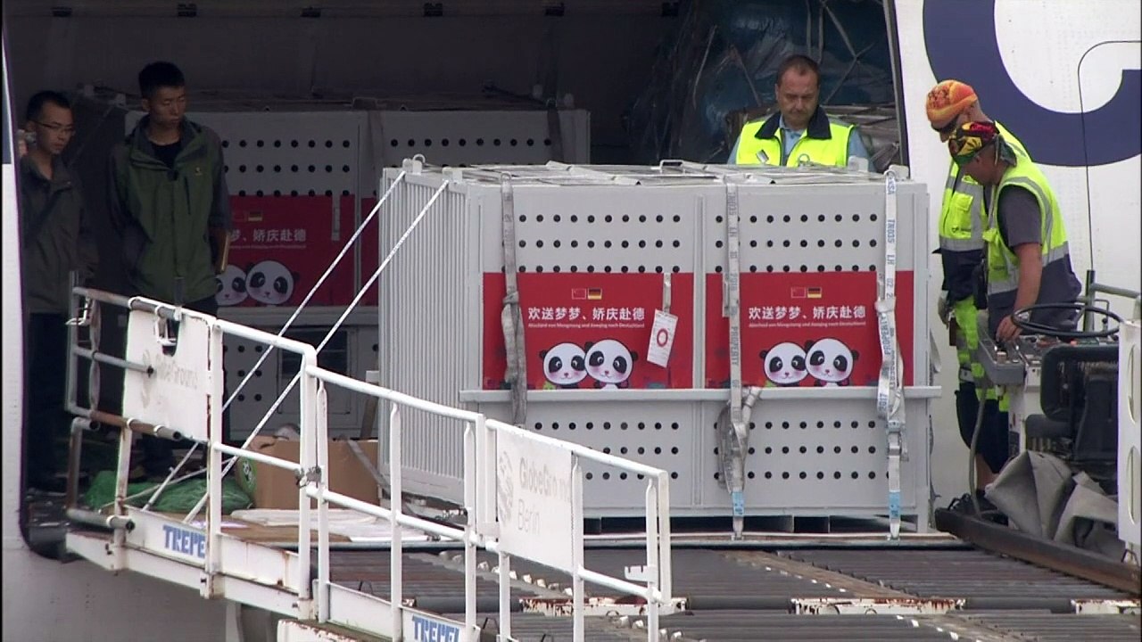 Schätzchen und Träumchen: Panda-Pärchen in Berlin eingetroffen