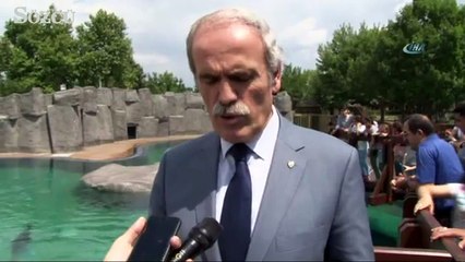 Bursa Hayvanat Bahçesi’nin yeni misafirleri ilgi çekiyor