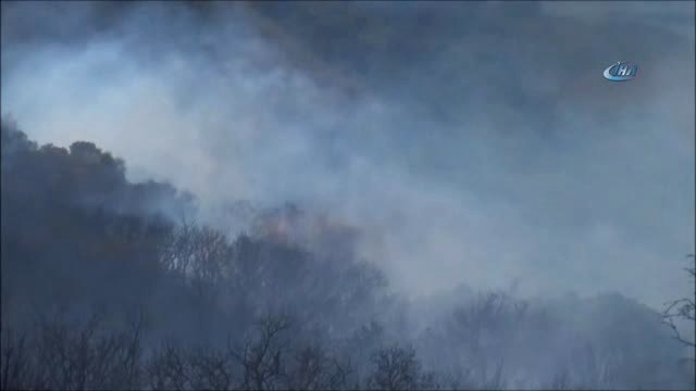 Milas'ta Makilik Alanda Yangın