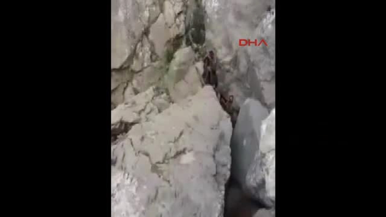 Teröristlerin Teslim Olma Anları Böyle Görüntülendi