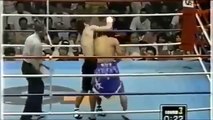 Referee Gets KNOCKED OUT