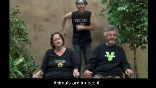 Animals Are Innocent (Don't Be Speciesist)