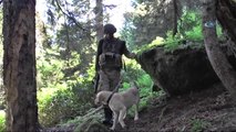 Jöh ve Pöh Ekiplerinden PKK Sığınağına Operasyon