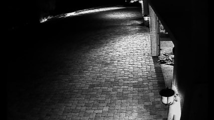 Cet homme ne s'attendait pas à ça en rentrant chez lui !