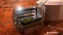 Scientists study plant growth in space