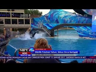Sirkus Paus Pembunuh Diganti Edukasi Biota Laut di AS -  NET 24