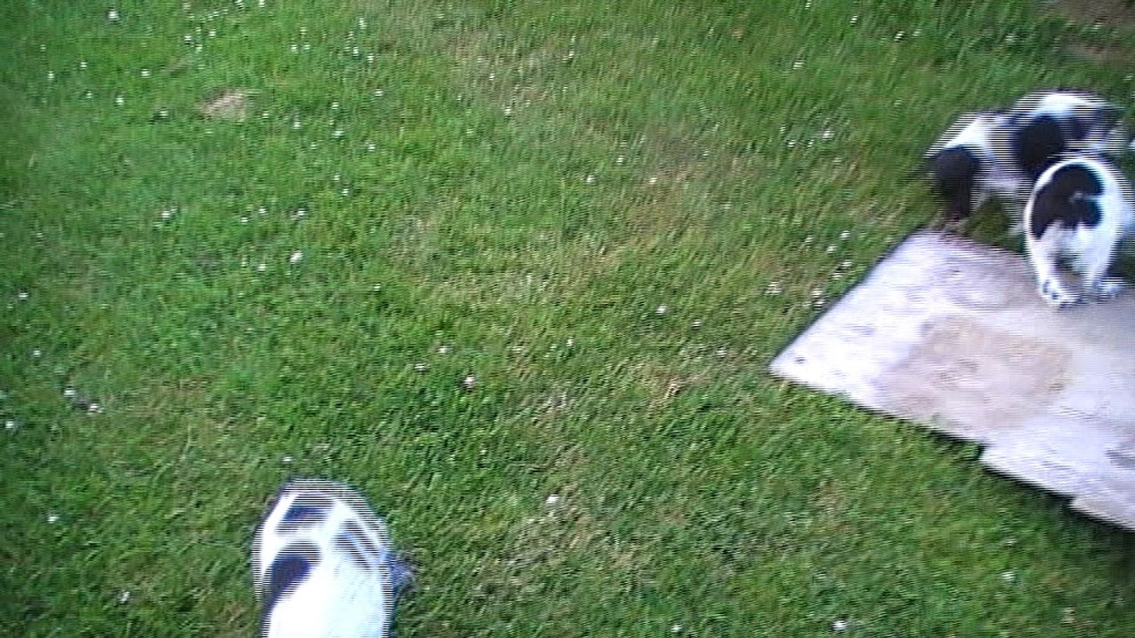 M1 M2 M3 portée exk X Boy 2017 -