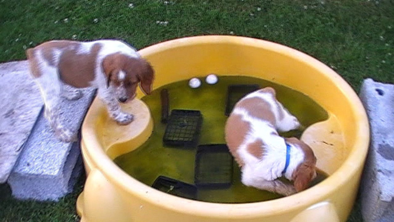 M6 et M7 portee Esk X Boy 2017   -