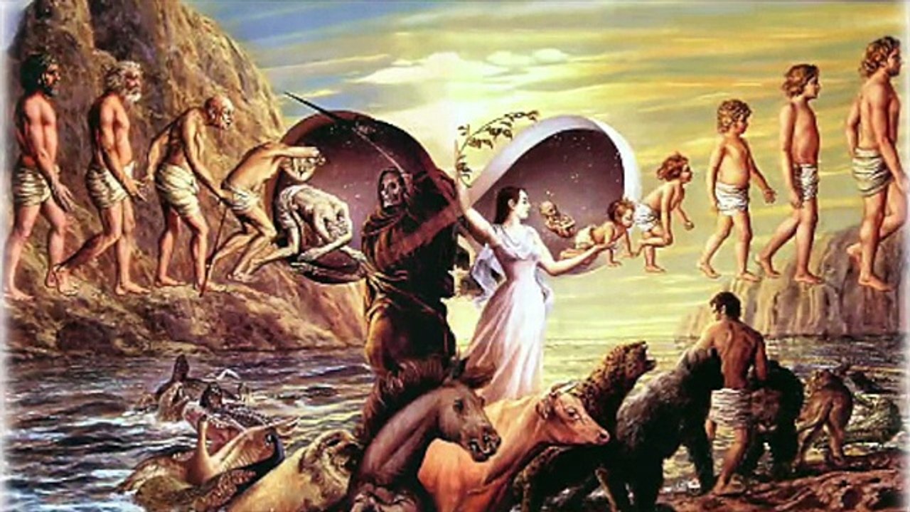 Zufriedenheit mit Schopenhauers Aphorismen zur Lebensweisheit