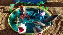 Animaux enfants enfants Apprendre apprentissage mini- des noms de de piscine Mer requin faire glisser tout petit jouets vidéo