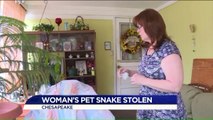 Virginia Woman Upset After Someone Stole Her Snake