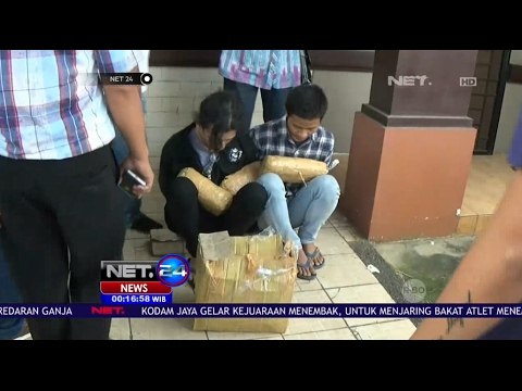 Terima Paket Ganja, 2 Mahasiswa Tangerang Ditangkap BNN DKI Jakarta - NET24