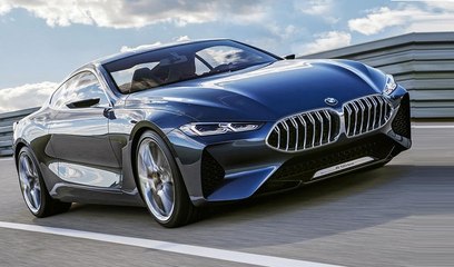2018 BMW 8 Series VS Honda Civic Type R