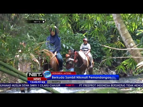 Wisata Berkuda, Kenali Kudanya dan Cara Mengendalikannya - NET12