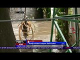Live Report Banjir di Kawasan Pondok Karya - NET16