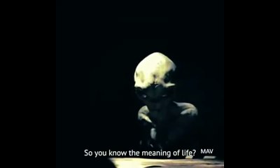 OMG Real Alien Footage message to humanity