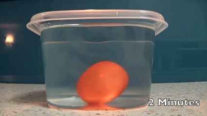 How To Dissolve an Eggshell