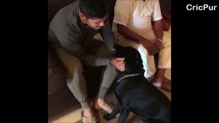 UMESH YADAV playing with his CUTE PUPPY | CriPur
