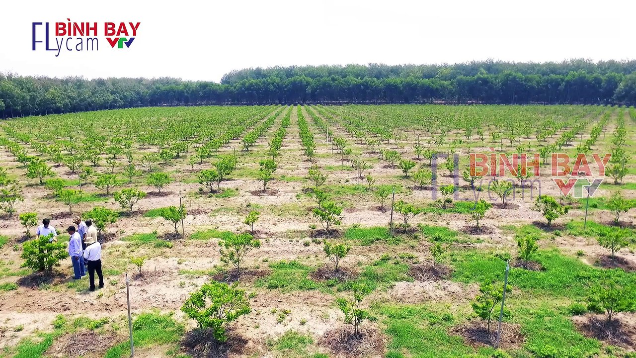 flycam Binh Bay |Tay Ninh