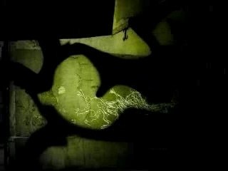 Le parcours du Petit Poucet