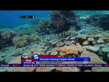 Terumbu Karang Raja Ampat Terbaik di Dunia - NET5