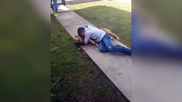 Ce gamin retrouve son chien qu'il avait perdu 6 mois auparavant... Emouvant