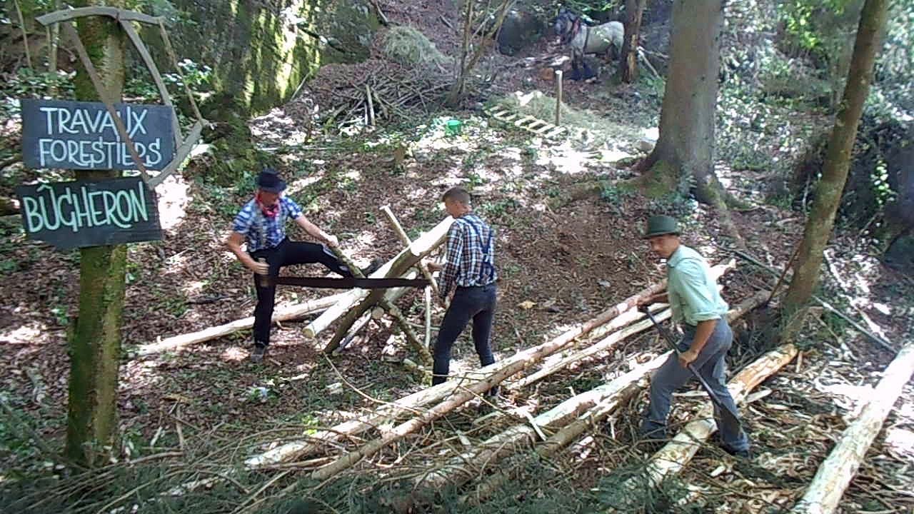 Vieux métiers à Vaux-Chavanne : bucherons