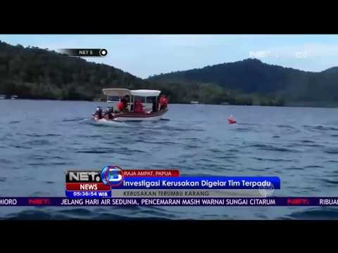 Investigasi Kerusakan Terumbu Karang di Raja Ampat Digelar Tim Terpadu - NET5