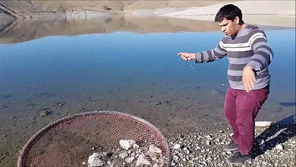 El Oltasıyla Aynalı Sazanı Böyle Çekti