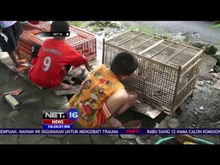 Descargar video: Sering Kehabisan Makan, Anak Panti Asuhan tidak Betah - NET16