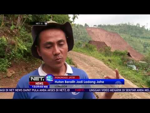 Alih Lahan menjadi Ladang Jahe Warga Disinyalir Menjadi Penyebab Longsor Ponorogo - NET12