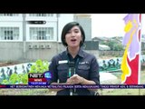 Live Report - Peresmian Masjid Raya Hasyim Ashari oleh Presiden Jokowi - NET12