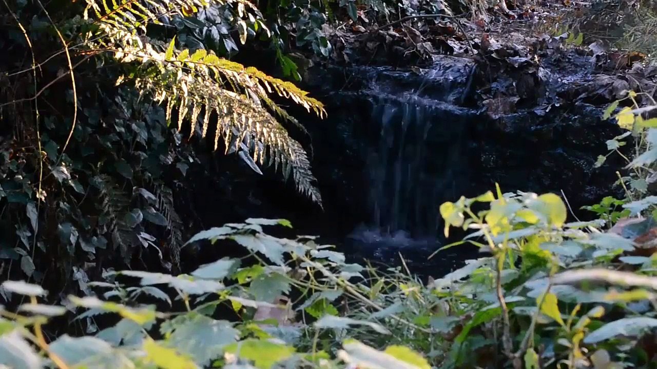 Timelapse #1 - Ruisseau
