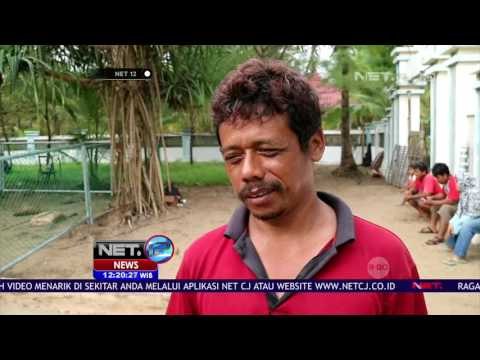 Konservasi Penyu Taman Kili-kili, Selamatkan Kelangsungan Penjelajah Samudera - NET12